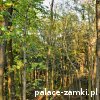 Muchów - Wieża widokowa Mszana
