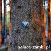 Muchów - Wieża widokowa Mszana