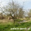 Dłużyce - Pałac