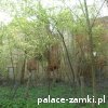 Dziesław - Pałac
