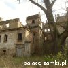 Dziewin - Dwór