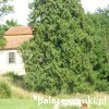 Łupki - Pałac Lenno