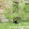 Orsk - Pałac