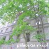 Orsk - Pałac