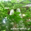 Pątnów - Pałac