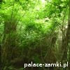 Pątnów - Pałac
