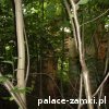 Pątnów - Pałac