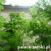Pątnów - Pałac