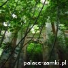 Pątnów - Pałac