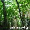 Pątnów - Pałac