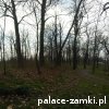 Piotrowice - Pałac I