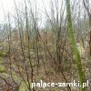 Podwizdów - Pałac