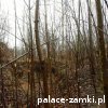 Podwizdów - Pałac