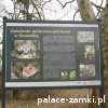 Snowidza - Pałac
