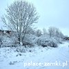 Sokołowiec Dolny - Pałac