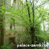 Stara Rudna - Pałac