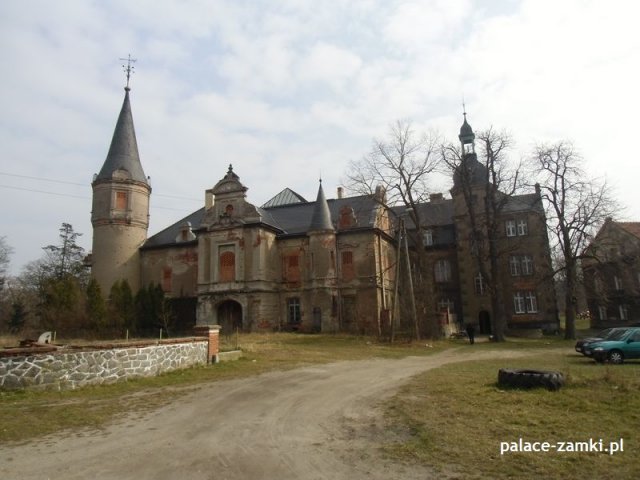 Pałac w Wiśniowej