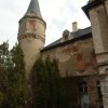 Wiśniowa - Pałac
