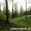 Cieszów - Zamek Cisy