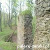 Cieszów - Zamek Cisy