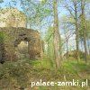 Cieszów - Zamek Cisy