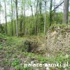 Cieszów - Zamek Cisy