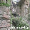 Janowice Wielkie - Zamek Bolczów