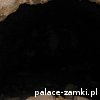 Janowice Wielkie - Zamek Bolczów