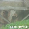 Płonina - Zamek Niesytno i Pałac