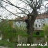 Prochowice - Zamek