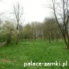 Prochowice - Zamek