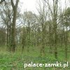Prochowice - Zamek