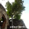 Proszówka - Zamek Gryf