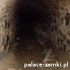Proszówka - Zamek Gryf
