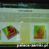 Rokitnica - Zamek