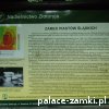 Rokitnica - Zamek
