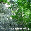 Rokitnica - Zamek