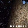 Rybnica - Zamek