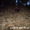 Rybnica - Zamek