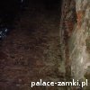 Rybnica - Zamek
