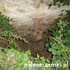 Rybnica - Zamek