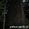 Rybnica - Zamek