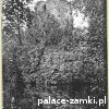 Stara Kamienica - Zamek