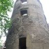 Świny - Zamek