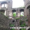 Świny - Zamek