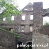 Świny - Zamek