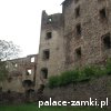 Świny - Zamek