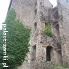 Świny - Zamek