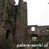 Świny - Zamek