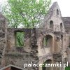 Świny - Zamek